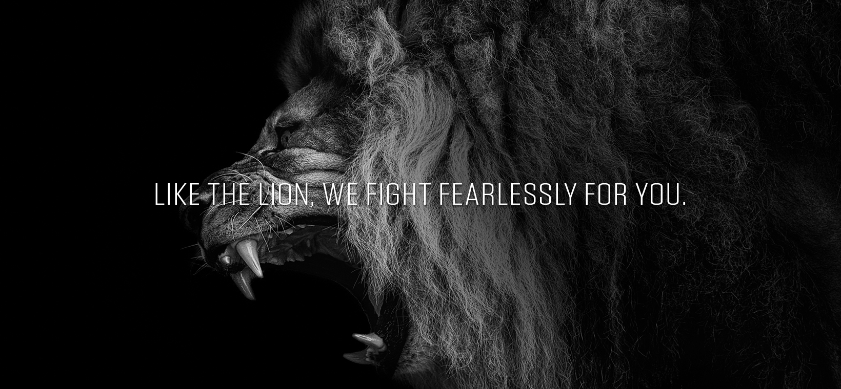 PARRIS Lawyers fight like the lion